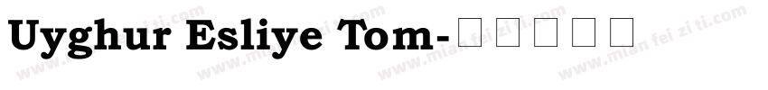 Uyghur Esliye Tom字体转换
